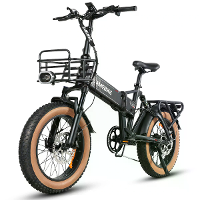 [EU Direct] SAMEBIKE XWLX09 II Elektrische Fiets 48V 15AH 1000W Motor Elektrische Fiets 20*4.0 Inch 60 100KM Bereik 150K