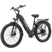 [EU DIRECT] SINOHON AK26 elektrische fiets 48V 18H 1000W motor topsnelheid 40 KM/U rijbereik 40 KM draagvermogen 150 KG