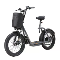 [EU DIRECT] SINOHON K20 Elektrische Scooter 17Ah 48V 500W Motor 20 Inch Banden Elektrische Scooter 60 70km Bereik Maximu