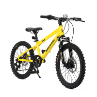 [EU DIRECT] SINOHON Kali N6 20 6 Fiets 20 Inch CST banden Max. Belastbaarheid 50 kg Aluminium frame Shimano 6 snelheden