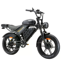 [EU DIRECT] SINOHON MK20 D Elektrische Fiets 48V 18AH 1000W motor Aanbevolen Topsnelheid 25KM/U 20 inch vetband 50KM act