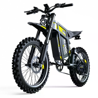 [EU Direct] SLDBK R6000 Elektrische Dirt Bike, 60V 30Ah Batterij, 7000W Motor Piekvermogen, Aanbevolen Topsnelheid 25KM/