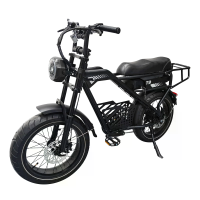 [EU DIRECT] T3 Elektrische Fiets 48V 18Ah 250W Motor 25km/u Maximumsnelheid 20 Inch Fat Banden 60 70km Maximale bereik 1