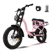 [EU DIRECT] T7 Elektrische Fiets met achterrek 48V 18Ah 250W motor max. Snelheid 25 km/u 20