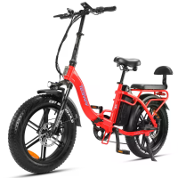 [EU DIRECT] TESWAY S5 Elektrische Fiets 48V 20AH 250W Motor 20inch 80 110KM Max Bereik 150KG Max Last Elektrische Fiets