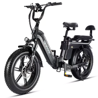 [EU DIRECT] TESWAY X5 Elektrische Fiets 48V 30AH 250W(MAX 750W) Motor 20inch 100 130KM Maximale Actieradius 150KG Maxima