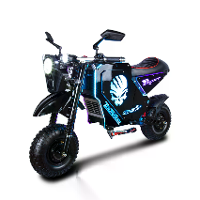 [EU Direct] TOURSOR M10 Elektrische Scooter 72V 50AH Batterij 5000W*2 Dubbele Motoren Aanbevolen Topsnelheid 25KM/H 14 i