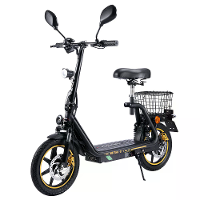 [EU Direct] TWOFISH M5 Elite E EEC Gecertificeerde Elektrische Scooter met Zadel en Achtermand 48V 13Ah Batterij 500W Mo
