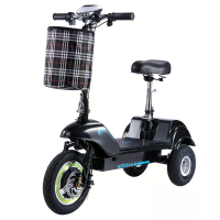 [EU Direct] TWOFISH TF03 Elektrische Driewieler met Zitje en Voormandenkorf 48V 13Ah Batterij 350W Motor Aanbevolen Tops