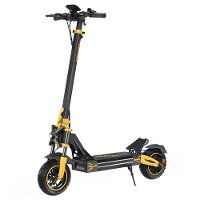 [EU DIRECT] TWOFISH V2 MAX Elektrische Scooter NFC Ontgrendeling 48V 20Ah Accu 800W Motor Topsnelheid 25KM/U 10inch Vacu