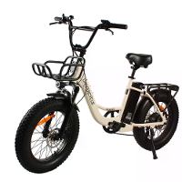 [EU Direct] UNIVERCYCLE B5 Elektrische Fiets 48V 12.5AH Batterij 350W Motor Topsnelheid 25KM/U 20Inch Banden 80KM Max Be