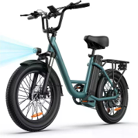 [EU DIRECT] URLIFE E20 Elektrische Fiets 48V 13AH 500W(Piek 1000W) Motor Aanbevolen Topsnelheid 25KM/H 20inch Band 130KM