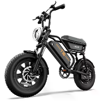 [EU DIRECT] URLIFE T16 Elektrische Fiets 48V 13Ah 500W Motor Aanbevolen Hoogste Snelheid 25KM/H 16x3 Inch Banden 28mph M