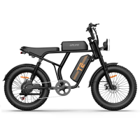 [EU DIRECT] URLIFE T2 Elektrische Fiets 48V 15.6AH 250W (Piek 1500W) Motor Aangeraden Topsnelheid 25KM/U 20inch Vetband