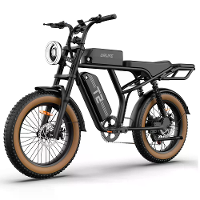 [EU DIRECT] URLIFE T2 Elektrische Fiets 48V 15.6AH 500W (Piek 1500W) Motor Aanbevolen Topsnelheid 25KM/H 20inch Dikke Ba