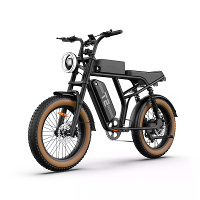 [EU DIRECT] URLIFE T2 Elektrische Fiets 48V 15.6AH 500W(Piek 1500W) Motor Aangeraden Topsnelheid 25KM/H 20 inch Band 160