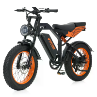 [EU Direct] VIPCOO VC VM6 Elektrische Fiets 48V 18.2AH Accu 250W Motor Aanbevolen Topsnelheid 25KM/U 20*4.0Inch Banden 7