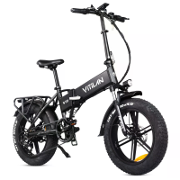 [EU Direct] Vitilan V3 2.0 Elektrische Fiets 48V 13AH 750W Motor 20*4,0 inch Banden 50KM Max Bereik 150KG Max Belasting