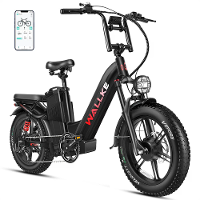 [EU Direct] WALLKE H7 Elektrische Fiets 48V 40AH SamsungBatterij Cel 1200W Motor 20 inch Banden 209KM Max. Bereik 180KG