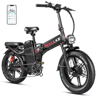 [EU Direct] WALLKE H9 AWD Elektrische Fiets 48V 40AH SamsungBatterij Cel 1000W*2 Dual Motoren 20*4.0 Inch Banden 190KM M