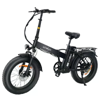 [EU Direct] Windgoo F21 PRO Electric Bike 48V 12.5AH Battery 250W Motor 20inches Tires 60 70KM Max Mileage 120KG Max Loa