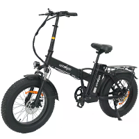 [EU Direct] Windgoo F21 PRO Elektrische Fiets 48V 12.5AH Accu 250W Motor Topsnelheid 25KM/U 20 inch banden 60 70KM Maxim