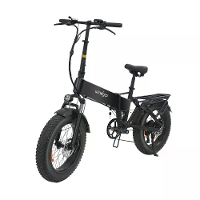 [EU Direct] Windgoo F22 PRO Electric Bike 48V 12.5AH Battery 250W Motor 20inches Tires 60 70KM Max Mileage 120KG Max Loa