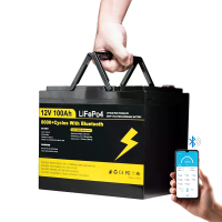 [EU Direct] Xmund 12V 100Ah LiFePO4 Batterij Pack Bluetooth met 100A BMS Bescherming 8000+ Cycli Ondersteunt Series/Para