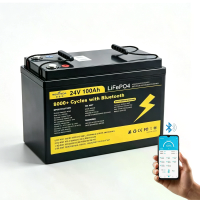 [EU Direct] Xmund 24V 100Ah LiFePO4 batterijpakket Bluetooth met BMS beveiliging 8000+ cyclussen Ondersteunt series/para