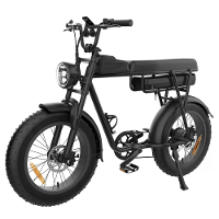[EU DIRECT] YAMALI FXH 006 Elektrische Fiets 48V 20Ah Batterij 1000W Motor 20 inches Banden 55 60KM Max Bereik 120KG Max