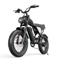 [EU Direct] YVY C20 Lite Elektrische Fiets 48V 15.6AH Batterij 1500W Motor Aanbevolen Topsnelheid 25KM/H 20*4.0 Inch Ban