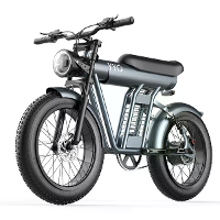 [EU Direct] YYG ZM21 Elektrische Fiets 48V 20AH Accu 1200W Motor Aanbevolen Topsnelheid 25KM/H 20*4.0Inch Dubbele Oliebr