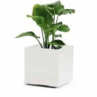 Euro3plast Greener KEBE 3157.03 Plantenbak Kunststof Wit