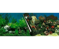 Ebi Foto Achterwand Stone+coral 60x30 Cm
