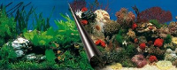 Ebi Foto Achterwand Stone+coral 80x40 Cm