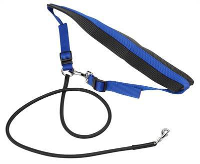 Ebi Jogginglijn Voor Hond Neopren Gevoerd Elastisch Blauw #95;_115 Cm