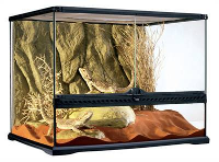 Exo Terra Glazen Terrarium + Achterwand #95;_60x45x45 Cm