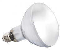 Exo Terra Solar Glo E27 Sunlight #95;_160 Watt