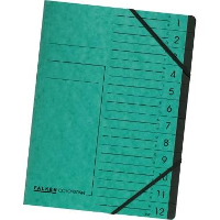 Falken Groen Din A4 Colorspankarton Aantal Vakken: 12 11288214