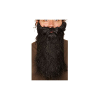 Carnaval/verkleed accessoires baard   half lang   zwart   aan elastiek