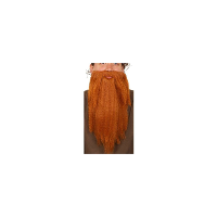 Carnaval/verkleed accessoires baard   lang   golvend   rood   aan elastiek