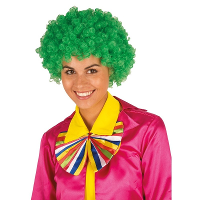 Carnaval verkleed Clownspruik met krulletjes   groen   volwassenen