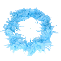 Carnaval verkleed veren boa slinger   lichtblauw   180 cm   50 gram   Dames