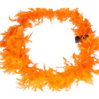 Carnaval verkleed veren boa slinger   oranje   180 cm   50 gram   Dames