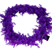 Carnaval verkleed veren boa slinger   paars   180 cm   50 gram   Dames