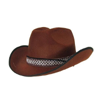 Cowboyhoed   bruin   vilt   volwassenen   western hoed   verkleedhoed cowboy
