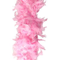 Party Sierveren Boa   Carnaval verkleed accessoire   lichtroze   180 cm   50 gram