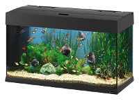 Ferplast Aquarium Dubai 80 Zwart 81x36x51 Cm