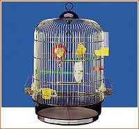 Ferplast Regina Full Optional Vogelkooi Messing #95;_