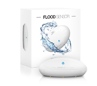 Fibaro Fgfs 101